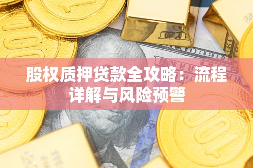 北京股权质押贷款全攻略：流程详解与风险预警