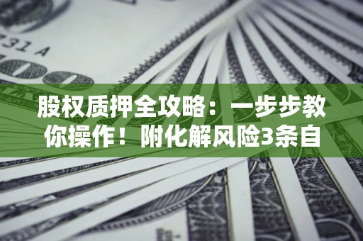 北京股权质押全攻略：一步步教你操作！附化解风险3条自救法则