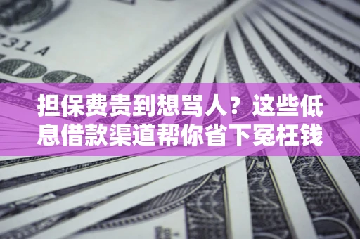 北京担保费贵到想骂人？这些低息借款渠道帮你省下冤枉钱