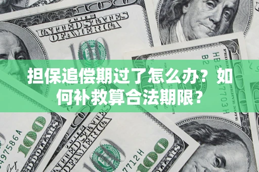 北京担保追偿期过了怎么办？如何补救算合法期限？