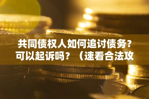 北京共同债权人如何追讨债务？可以起诉吗？（速看合法攻略）