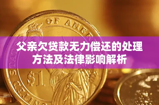 北京父亲欠贷款无力偿还的处理方法及法律影响解析