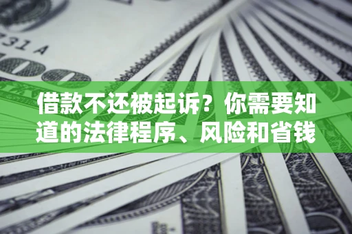北京借款不还被起诉？你需要知道的法律程序、风险和省钱技巧